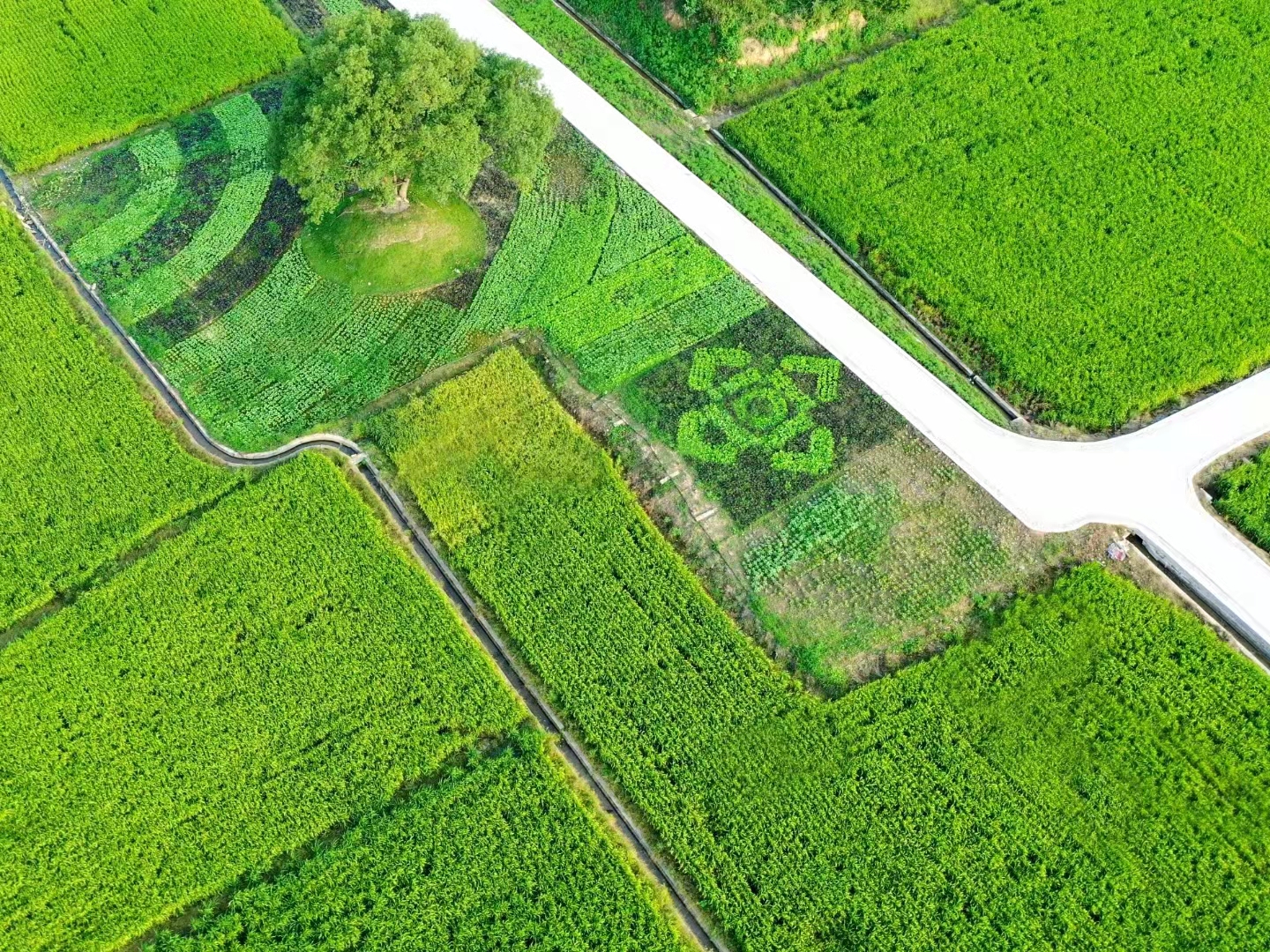 下好“内外”一盘棋 国寿资产“强”内核