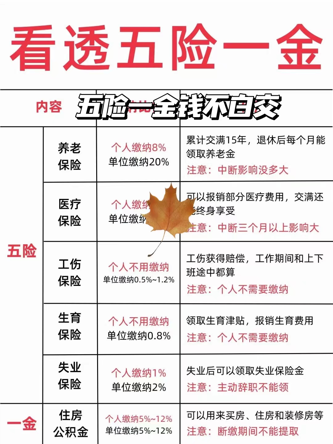 老乡鸡业绩增速放缓与人均消费下降，未缴纳社保公积金数额巨大