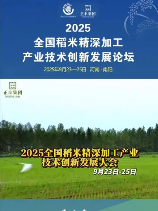 2026年小麦深加工行业未来发展趋势及投资战略研究_人保财险政银保 ,拥有“如意行”驾乘险，出行更顺畅！