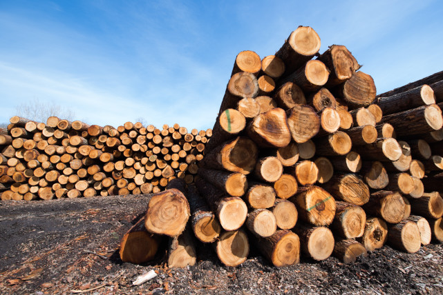 沙钢股份:截至目前,公司产品尚未有销往欧盟等相关国家和地区