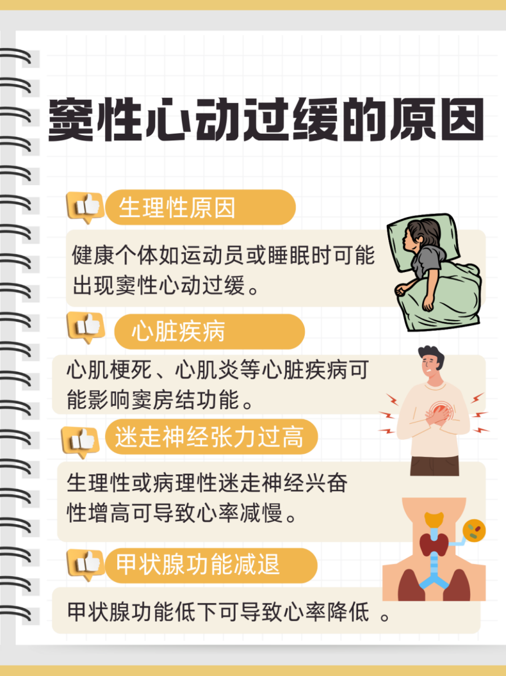 双心共舞：心理灵活性如何“调节”你的心跳