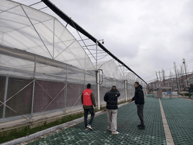 人保服务 ,人保伴您前行_2026锯材产业：从“木材加工”到“木材科技”的产业跃迁