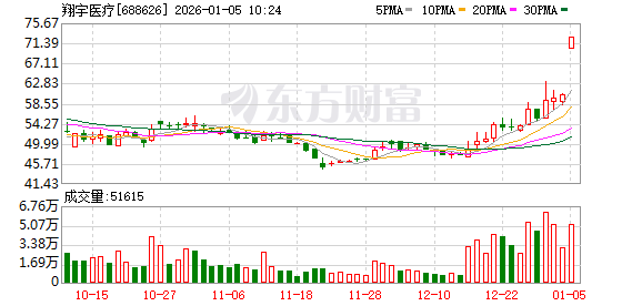 2月13日科创板高换手率股票（附股）