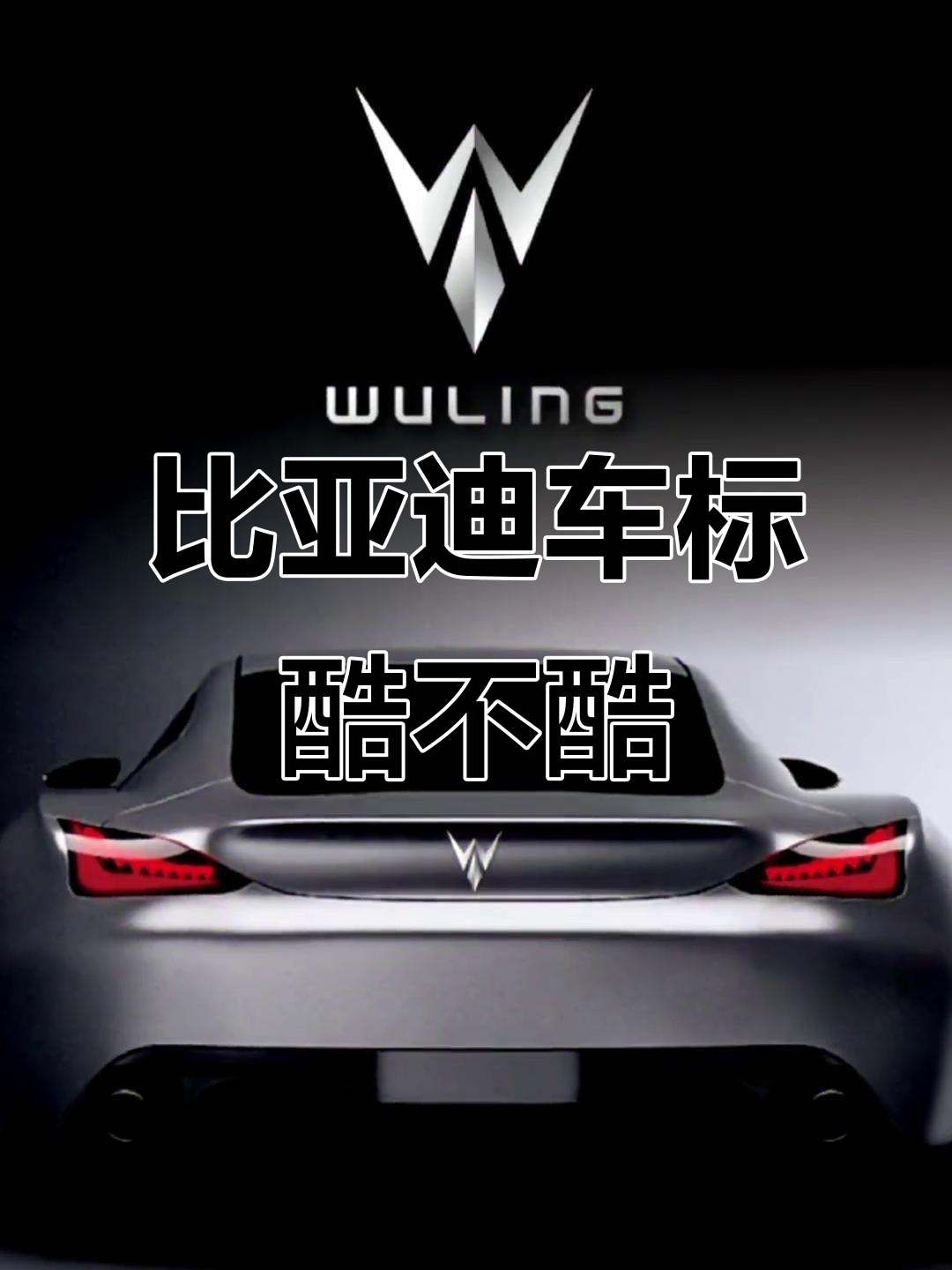 比亚迪获得外观设计专利授权：“汽车”