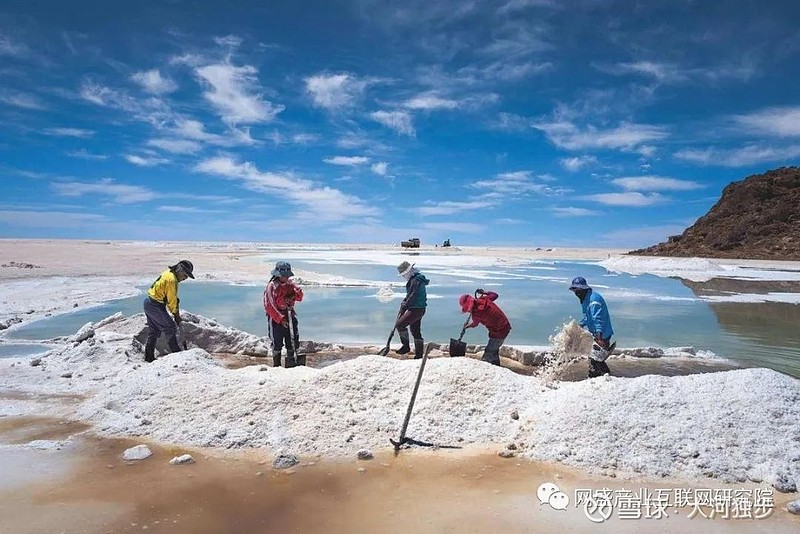 锂业开年抢矿大战：巨头死磕“确定性”