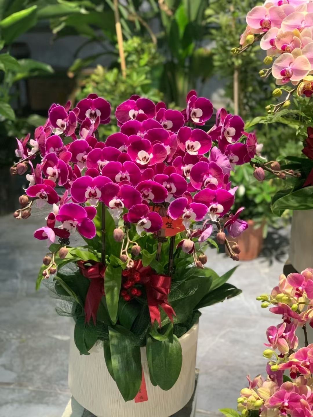 年宵花迎来消费旺季 业内人士称“今年小而美的花走量”