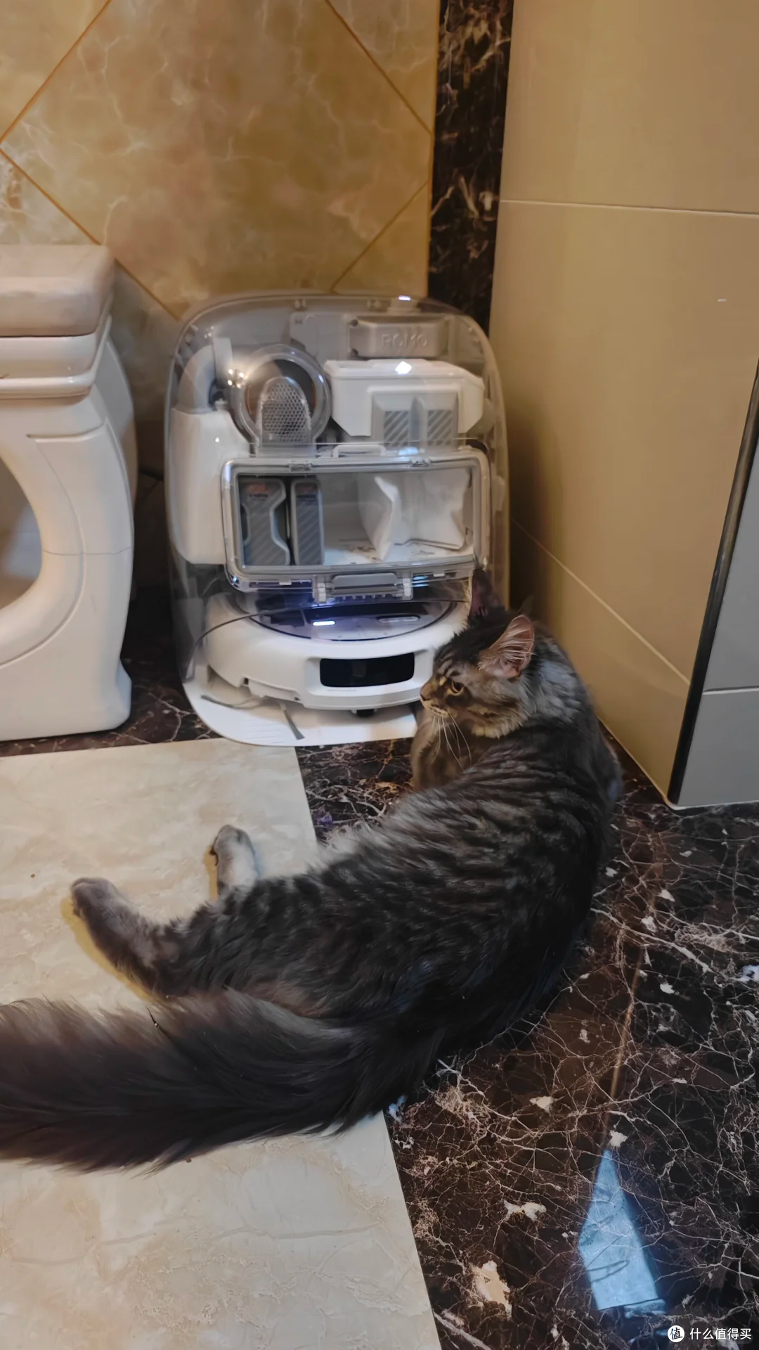 2026扫地机行业：从“随机碰撞”到“空间智能管家”_人保车险,人保护你周全