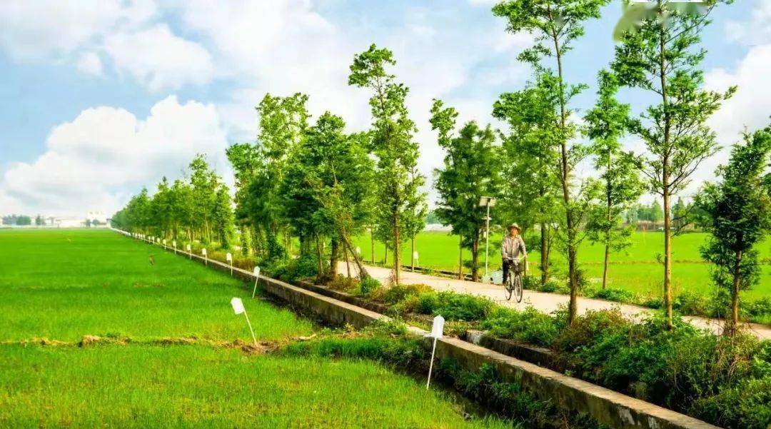 银河证券：深化推进“反内卷”+绿色降碳赋能 建材竞争秩序良性转型