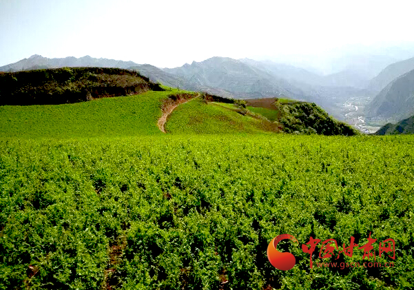 银河证券：深化推进“反内卷”+绿色降碳赋能 建材竞争秩序良性转型