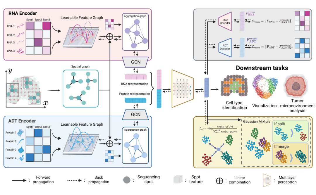 αβγδ社会动力学模型：基于经典命题的整合性重构与扬弃