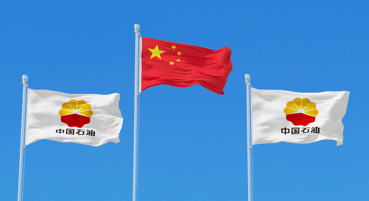 中国石油获得发明专利授权：“一种页岩油储层原位流体参数及物性测量装置和方法”