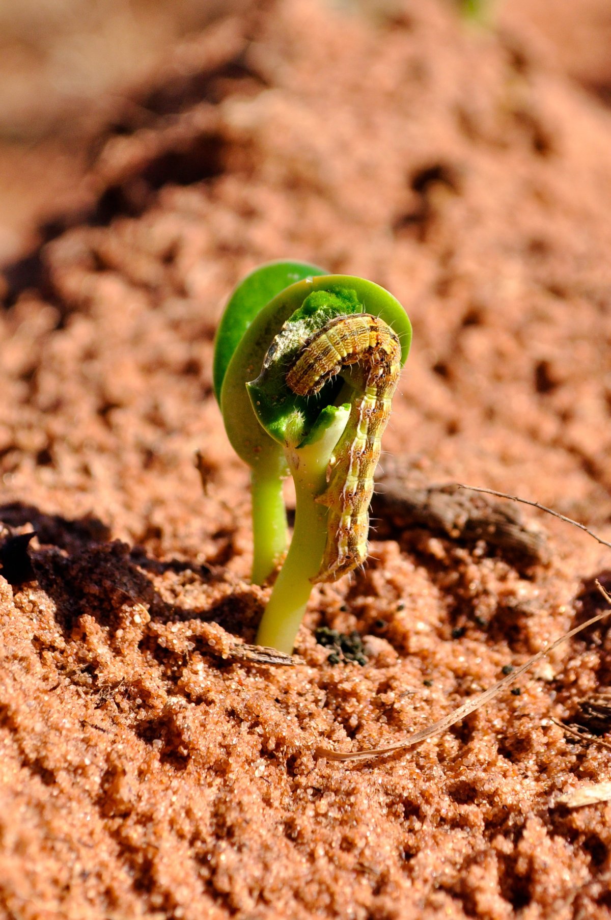 国家级基金即将“破土而出” 代表委员热议并购重组